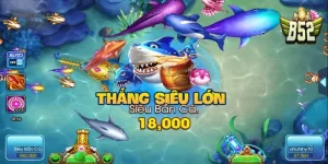 ban ca b52 20251115 135752 10